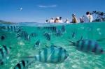 Морской промысел на Фиджи